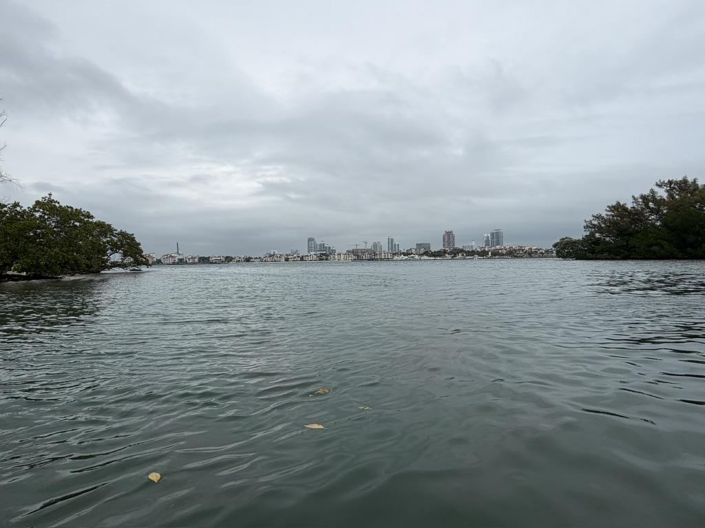 ラマー湖から望むマイアミのスカイライン