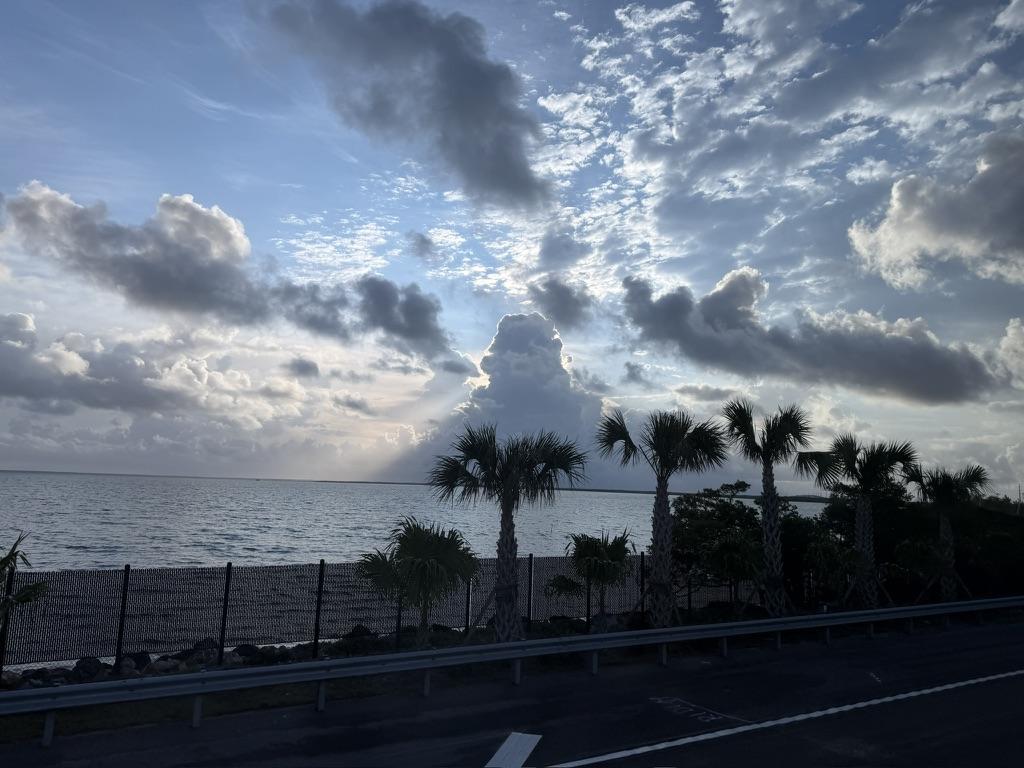 早朝、車窓から見えたフロリダ・キーズの海とヤシの木