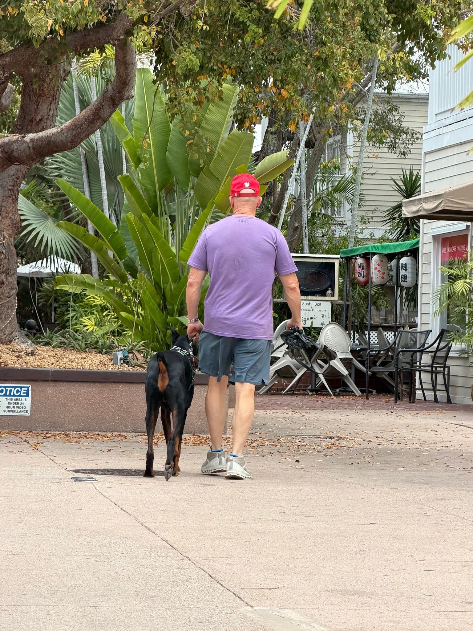 キーウェストで犬を散歩する人